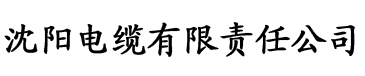 99视频转文字在线免费网页电缆厂logo